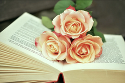 В Тамбове в пятый раз стартовала акция «Дарите книги с любовью»