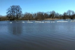 В Тамбовской области усилят контроль за безопасностью детей на водоёмах из-за паводка