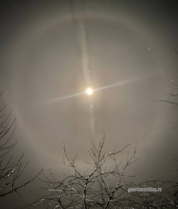 Жительница Мучкапского округа сфотографировала редкое лунное гало