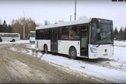 Новый общественный транспорт вышел на маршруты Тамбова