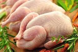 Инжавинская птицефабрика будет поставлять мясо в Арабские Эмираты