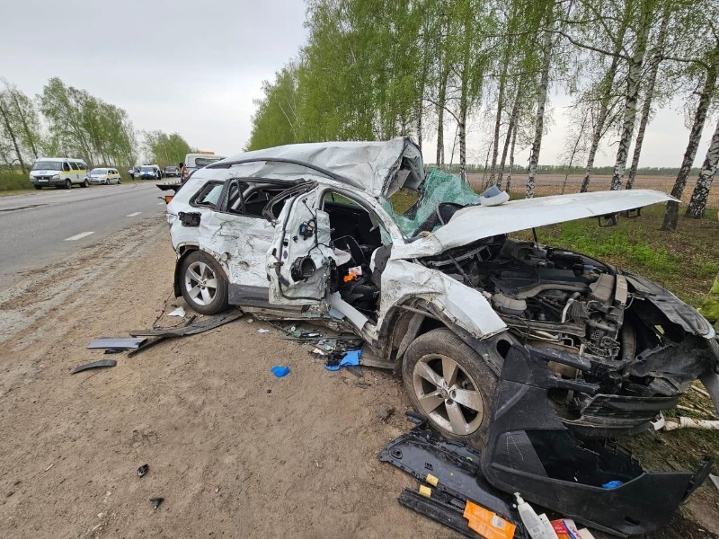 В Притамбовье в ДТП пострадали три человека и один погиб | Притамбовье