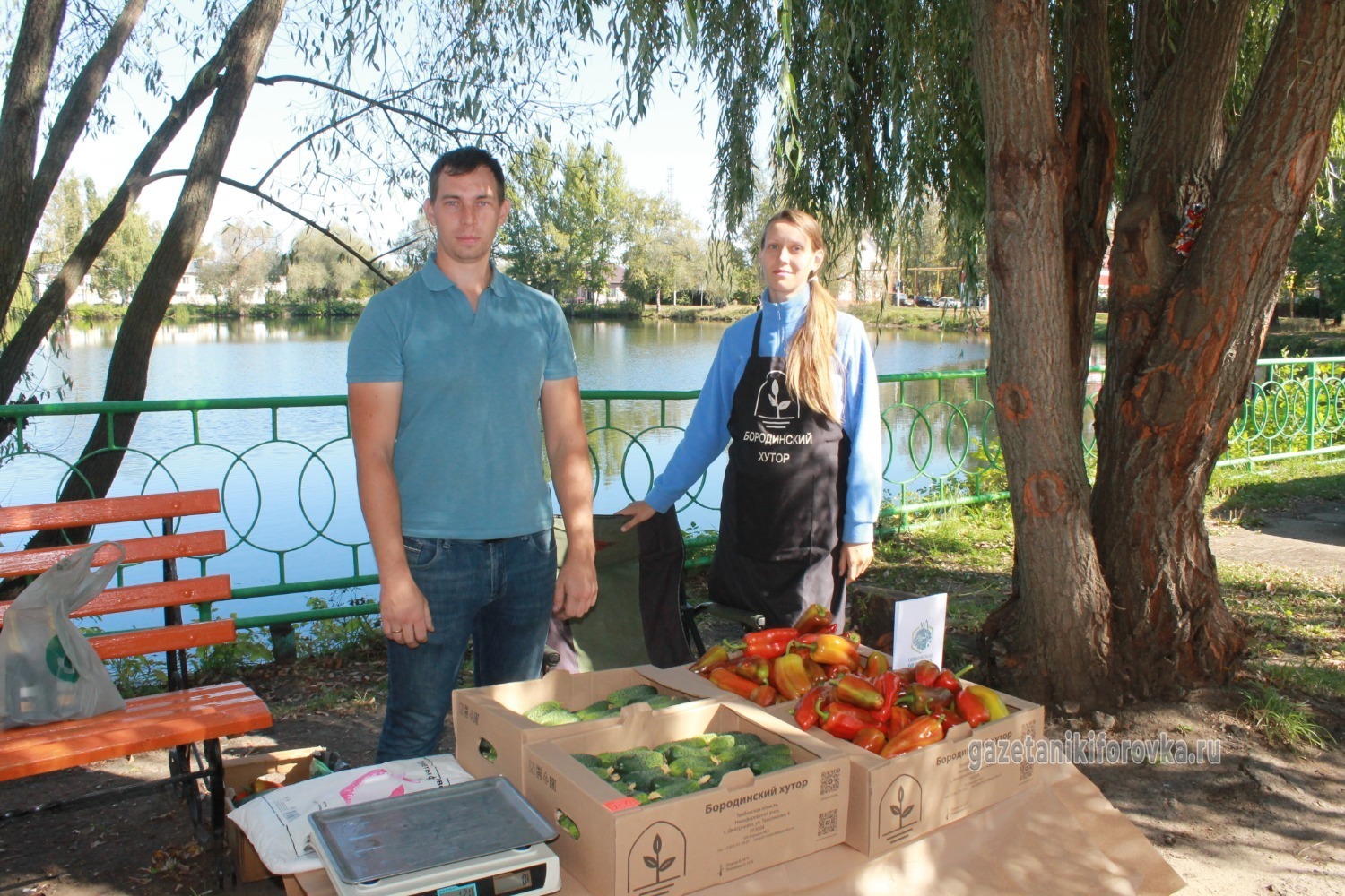 Никифоровские овощеводы и их продукция