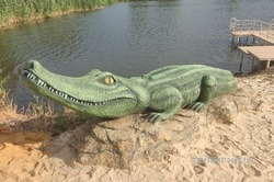 Огромные черепахи и крокодил обосновались на пляже в селе Петровском 