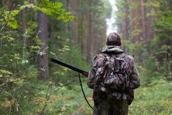 В этом году более 300 тамбовских охотников получили охотничьи билеты через сайт госуслуг