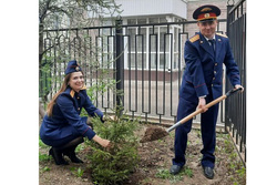 В Тамбове высадили 78 деревьев в рамках акции «Сад памяти»