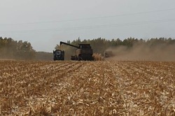 Тамбовские аграрии завершают сев озимых