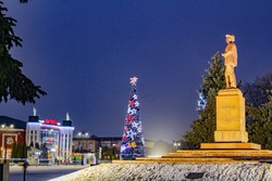 Тамбовские елки поборются за звание лучших в России