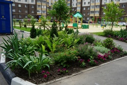 В Тамбове в разгаре ежегодный конкурс на лучшее цветочное оформление дворовых и общественных территорий