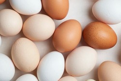 В Тамбовской области выявили подделку срока годности 234 тысяч куриных яиц