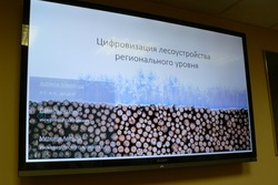 В Тамбовской области началась цифровизация лесного хозяйства