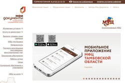 В Тамбовской области выпустили мобильное приложение МФЦ
