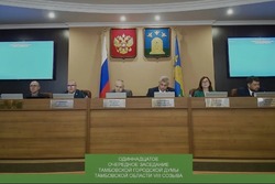 Максим Косенков выступил с отчетом за 2025 год перед депутатами гордумы Тамбова