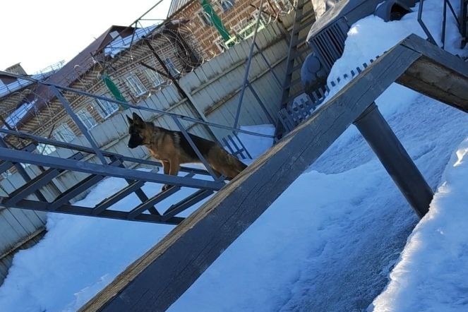 Руби на тренировке