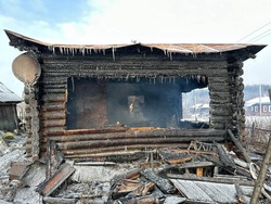  В Моршанском округе погибли в пожаре мать и сын