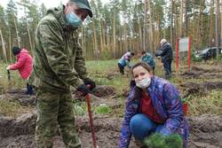 В Тамбовской области стартовала Всероссийская акция «Сохраним лес»