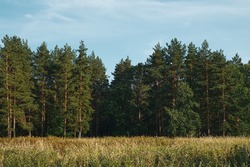 Студенты ТГТУ раскрывают туристический потенциал региона благодаря грантовой программе