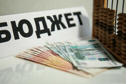 Для помощи в разработке законопроекта о «народном бюджете» Тамбовская область поделилась своим опытом