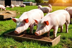 Активы тамбовского мясокомбината "Первомайский" выставлены на повторные торги