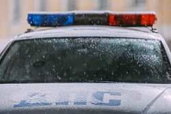 В Тамбовской области 26 ноября проверяют, как водители перевозят детей