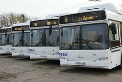 На городские маршруты вышли шесть новых автобусов