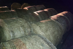 Трое ранее судимых жителей Мордовского района украли 7 тонн сена у местного фермера