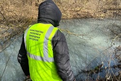 Областное минэкологии оценило в 5 млн рублей ущерб ручью и пруду в селе Донском