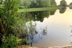 Пенсионерка утонула в водоёме в Токарёвском районе