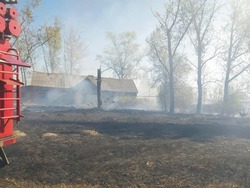 В Тамбовской области сгорели сено и сарай