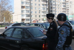 Тамбовчанка оплатила три десятка штрафов ГИБДД после ареста автомобиля