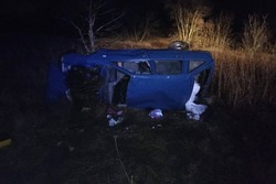 В Инжавинском округе «Ода» слетела в кювет и опрокинулась