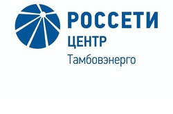 Специалисты «Тамбовэнерго» готовы к работе в условиях непогоды