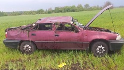 В Тамбовском округе девушка на иномарке улетела в кювет: пострадали двое
