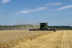 В Тамбовской области собрано почти 2 миллиона тонн зерна