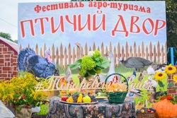 Токарёвка приглашает на фестиваль «Птичий двор» 17 августа
