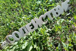 Тамбовский центр «Содействие» помогает родителям в воспитании детей с ограниченными возможностями здоровья