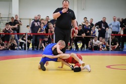 В Тамбове соревновались юные борцы 