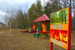 В Тамбовской области не допущено серьезных лесных пожаров в минувшем сезоне