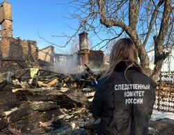 При пожаре в Сампурском округе погиб мужчина