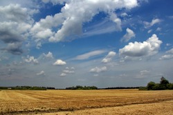 В Тамбовской области собрали 4,34 млн тонн зерна