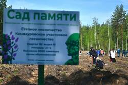 В Тамбовской области высадили свыше 174 тысяч деревьев в рамках акции «Сад Памяти»