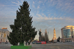 В Тамбове поставили главную новогоднюю ёлку региона