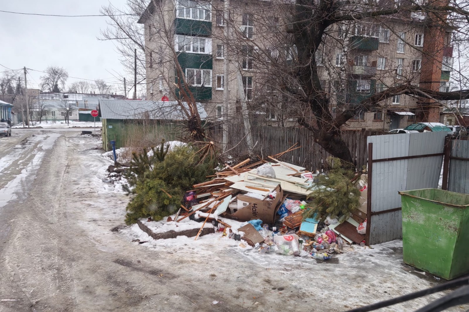 Контейнерная площадка до уборки  (Карла Маркса)