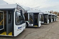 В пасхальную ночь верующих Тамбова будет развозить общественный транспорт 