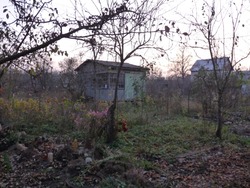 Избежать свалок возле дач помогут регоператоры по обращению с ТКО