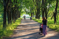 За три недели 55,5 тысячи жителей области приняли участие в голосовании за объекты благоустройства