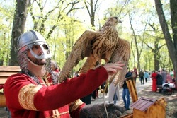 Всероссийский фестиваль соколиной охоты пройдет под Мичуринском