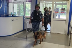 В Тамбовской области прошли антитеррористические учения в образовательных организациях
