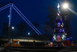 В Мичуринске впервые установили новогоднюю ёлку на набережной