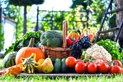 Урожай овощей в Тамбовской области в 2,5 раза превысил прошлогодние показатели